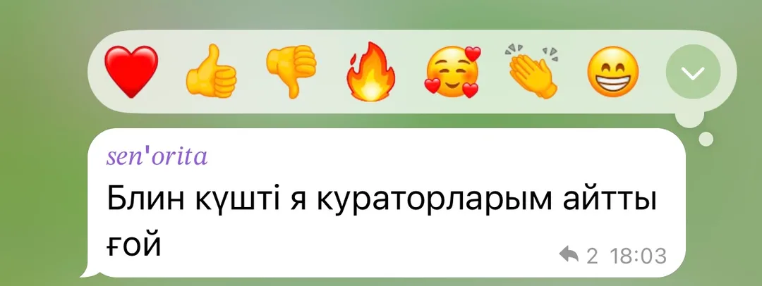 Отзыв об приложении Tezzy для подготовки к ЕНТ — №9