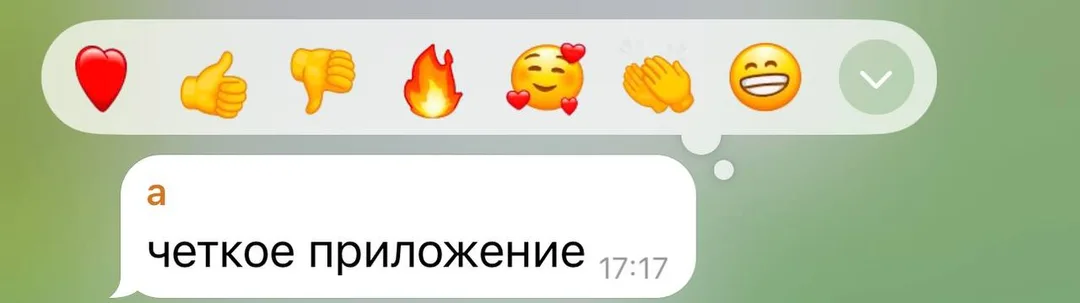 Отзыв об приложении Tezzy для подготовки к ЕНТ — №25