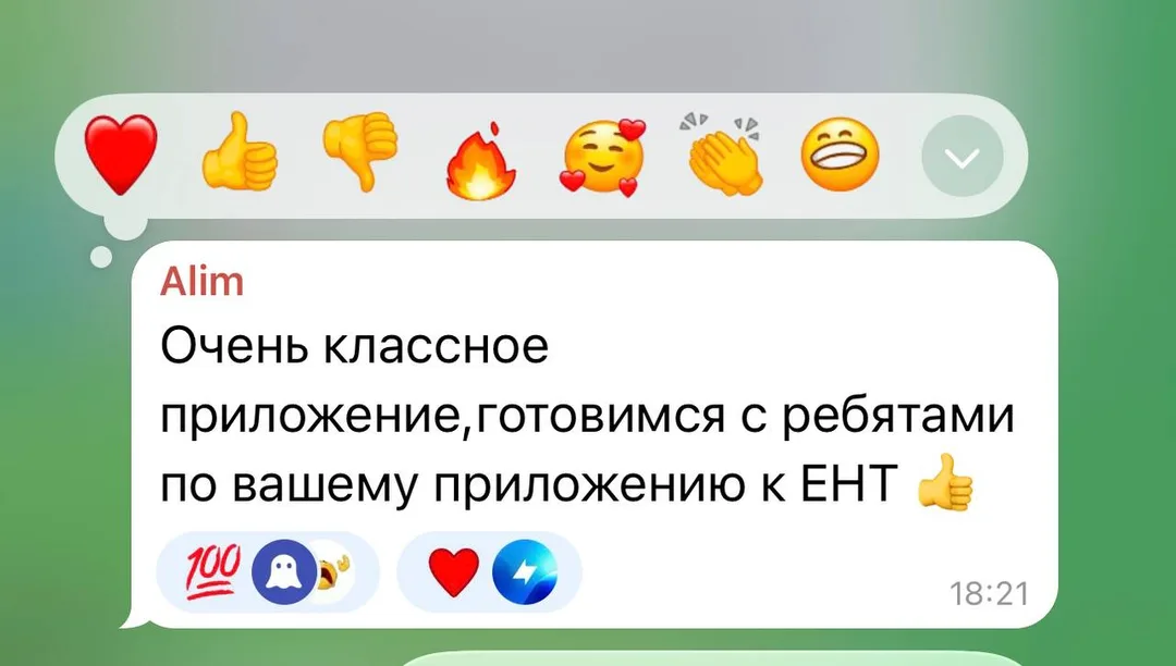 Отзыв об приложении Tezzy для подготовки к ЕНТ — №7