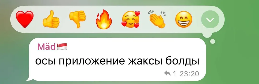 Отзыв об приложении Tezzy для подготовки к ЕНТ — №21