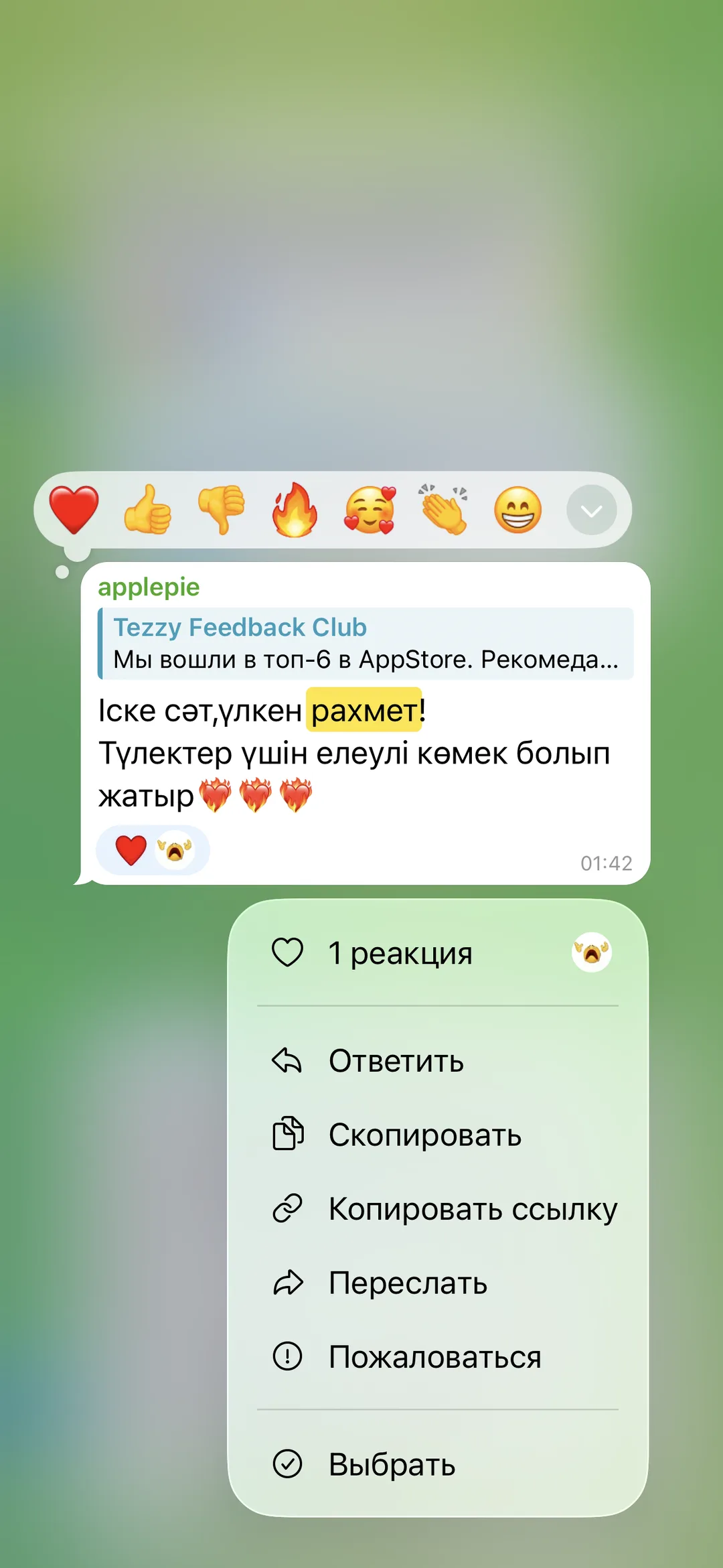 Отзыв об приложении Tezzy для подготовки к ЕНТ — №26
